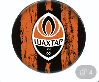 Takım logosu